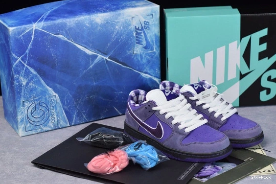 BV1310-555 Concepts Dunk Low SB Lobster Purple Nike 1008